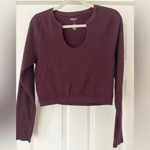 PacSun Burgundy Ribbed Crop Top